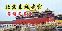 鸡巴操美女搔逼高清视频中国北京-东城古宫旅游风景区